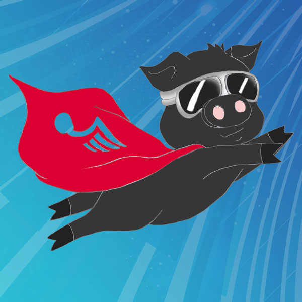 Featured image for “Flying Tonkatsu Concert”